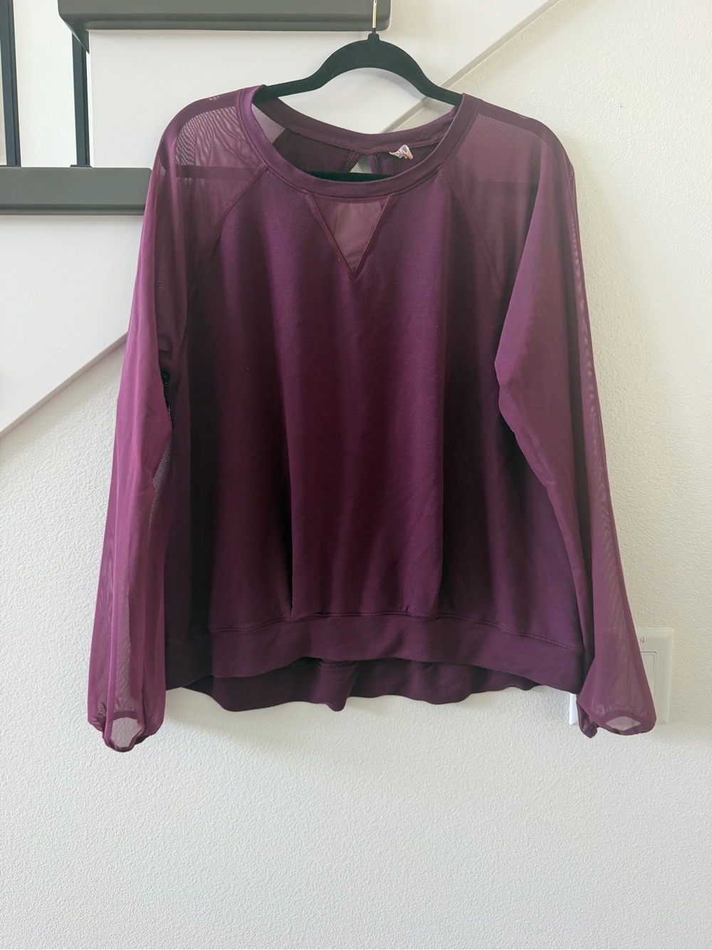Lucy Plum Sheer-Sleeve Pullover